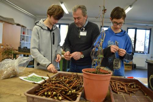 49798853 2048976831850813 3864949831680131072 o (1)